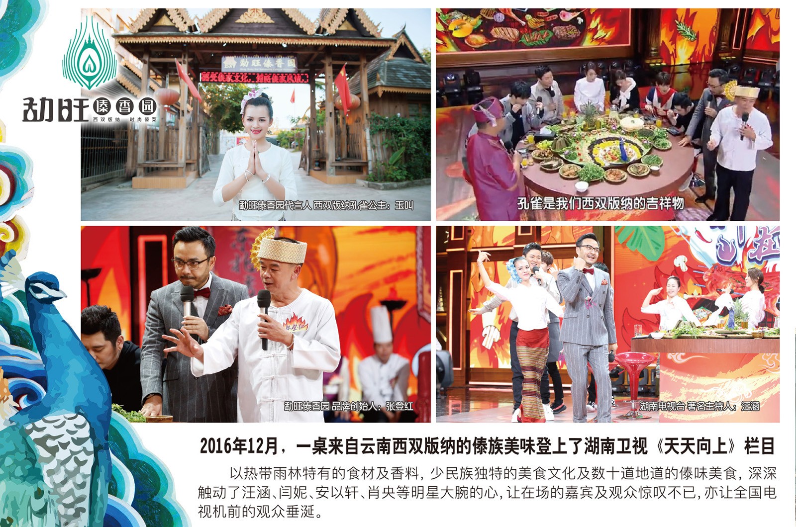 西雙版納勐旺傣香園VI設(shè)計(jì)案例展示圖片十