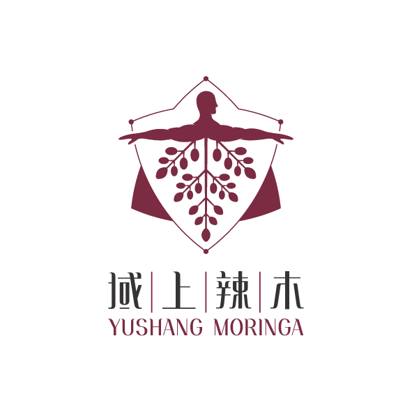 LOGO案例-58（麗江域上辣木包裝設(shè)計(jì)）.png